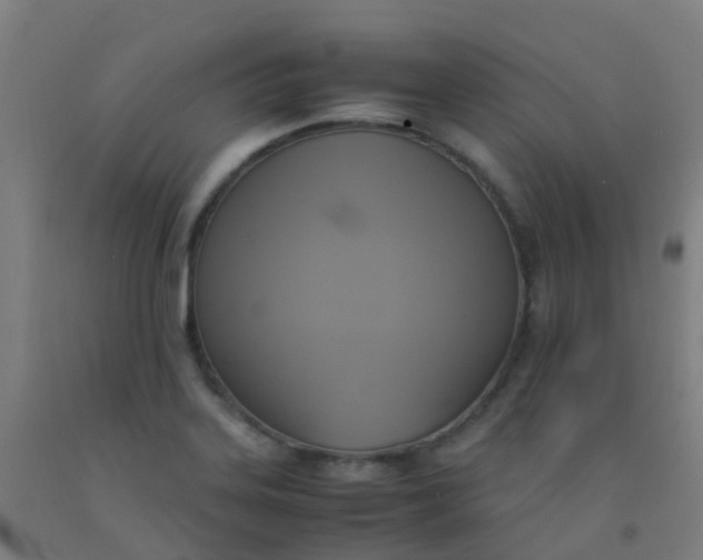 X0000092331323200709281418