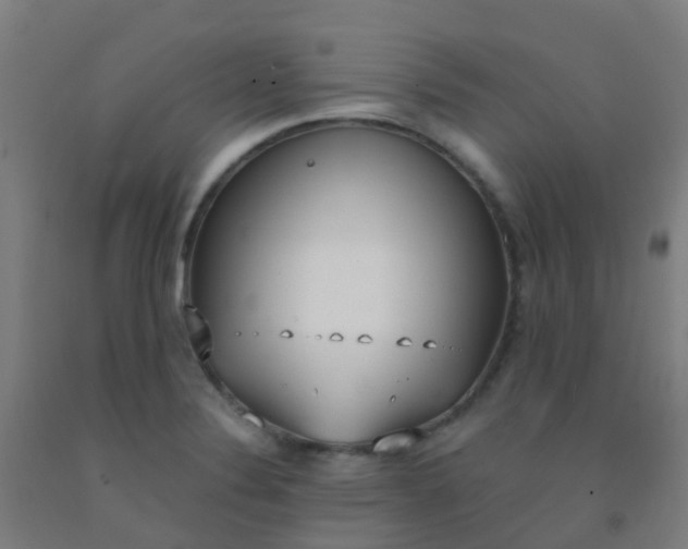 X0000092331324200709281418
