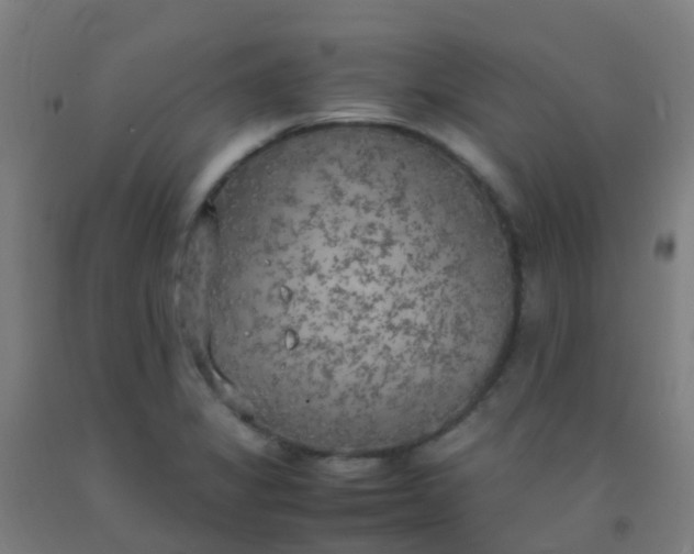 X0000092331325200709281418