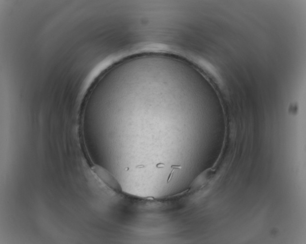 X0000092331326200709281418
