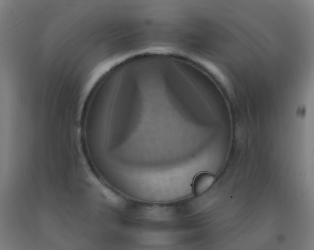 X0000092331327200709281418