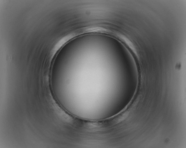 X0000092331330200709281418