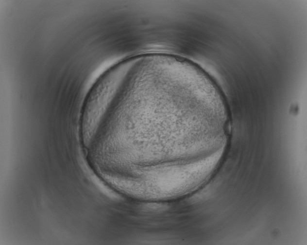 X0000092331333200709281418