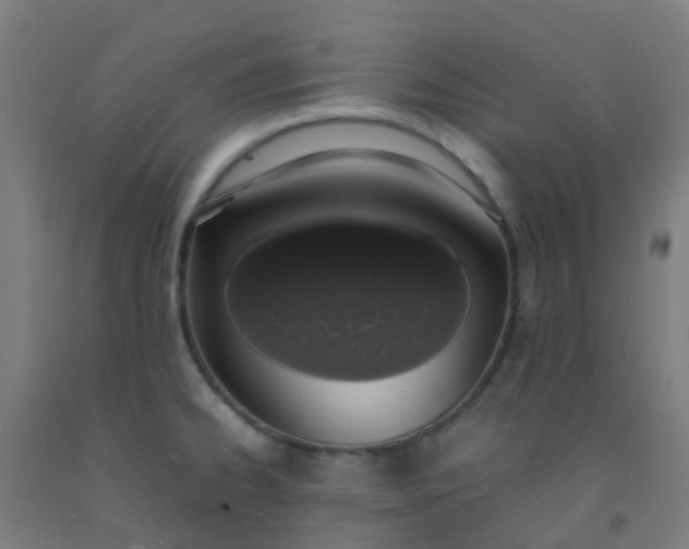 X0000092331334200709281418