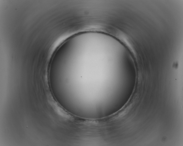 X0000092331336200709281418