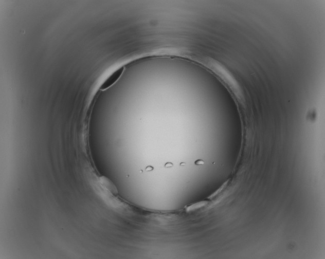 X0000092331340200709281418