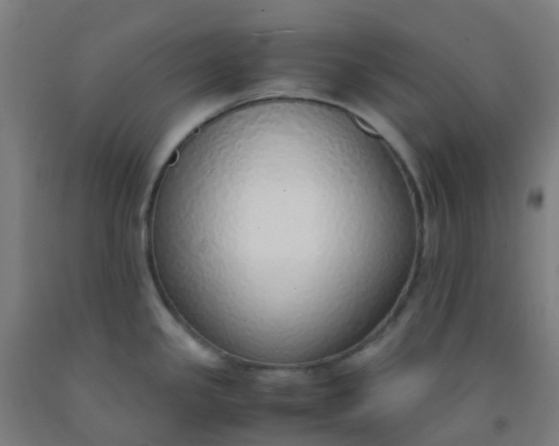 X0000092331341200709281418