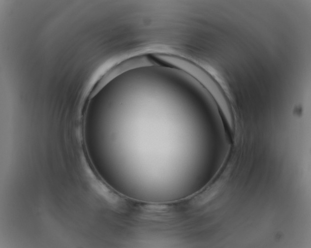 X0000092331342200709281418