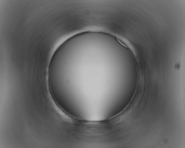 X0000092331343200709281419