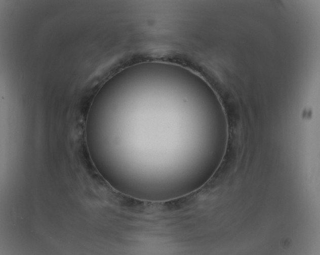 X0000092331349200709281418