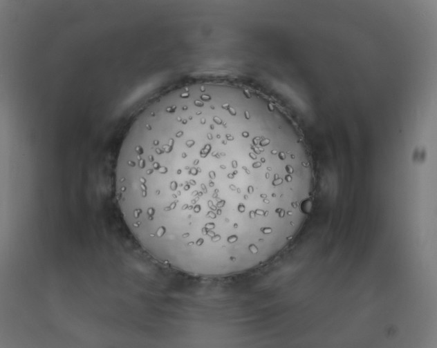 X0000092331350200709281418