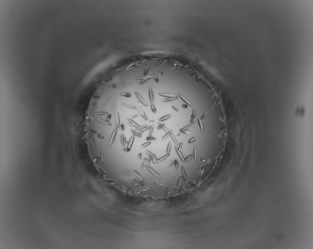 X0000092331351200709281418