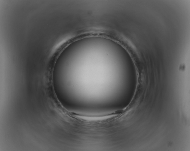 X0000092331352200709281418
