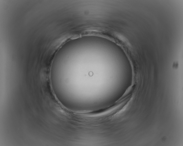 X0000092331353200709281418