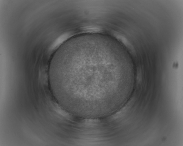 X0000092331354200709281418