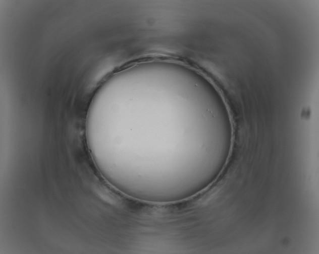 X0000092331355200709281418