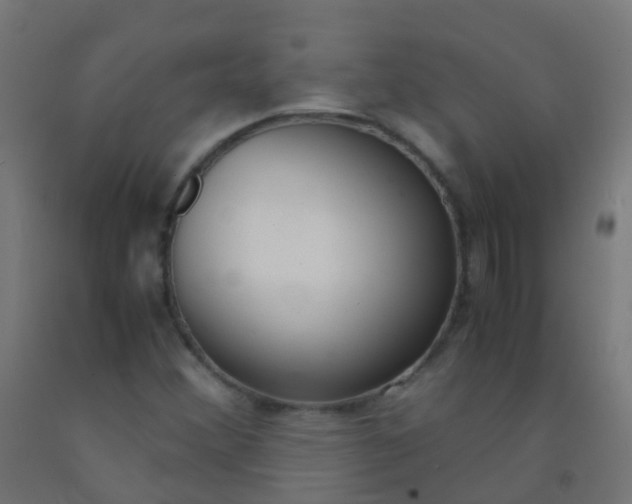 X0000092331356200709281418