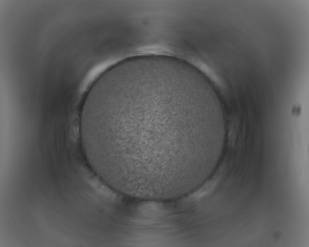 X0000092331358200709281418