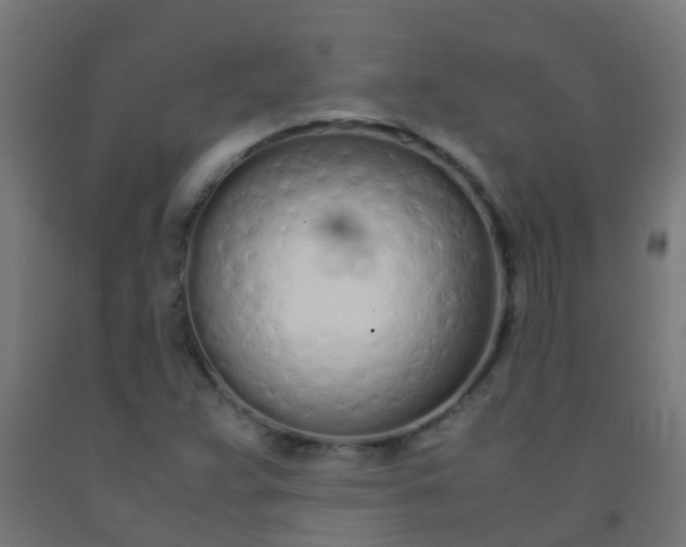 X0000092331359200709281418