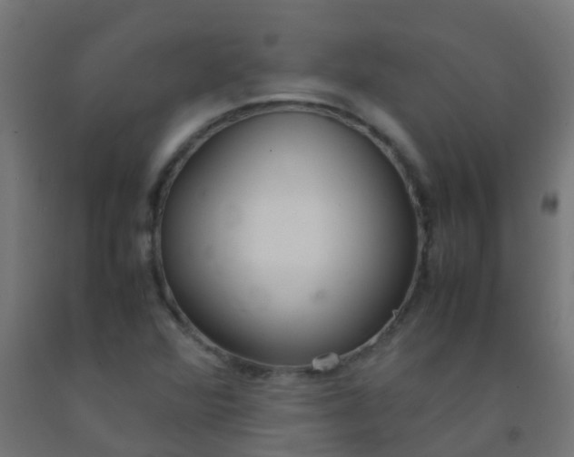 X0000092331360200709281418