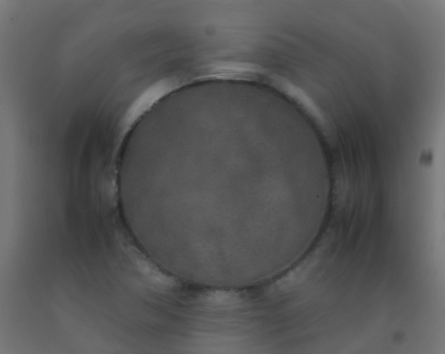 X0000092331362200709281418