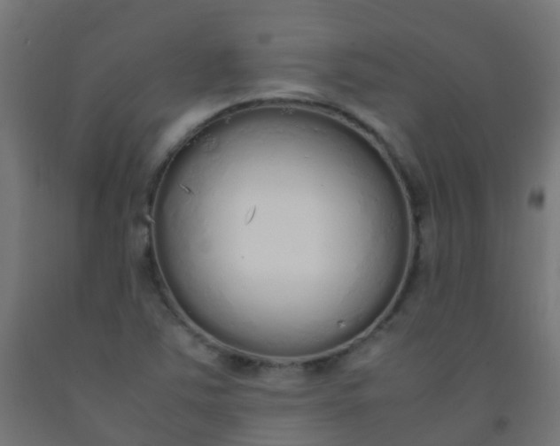 X0000092331363200709281418