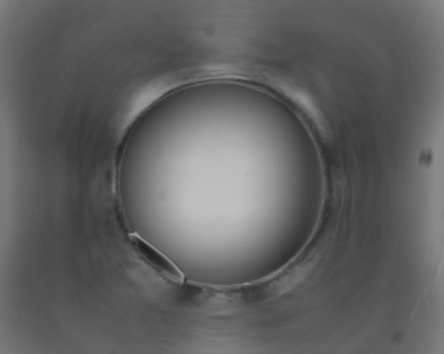 X0000092331365200709281418