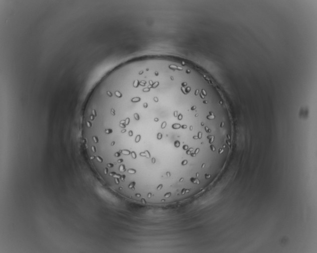 X0000092331366200709281418