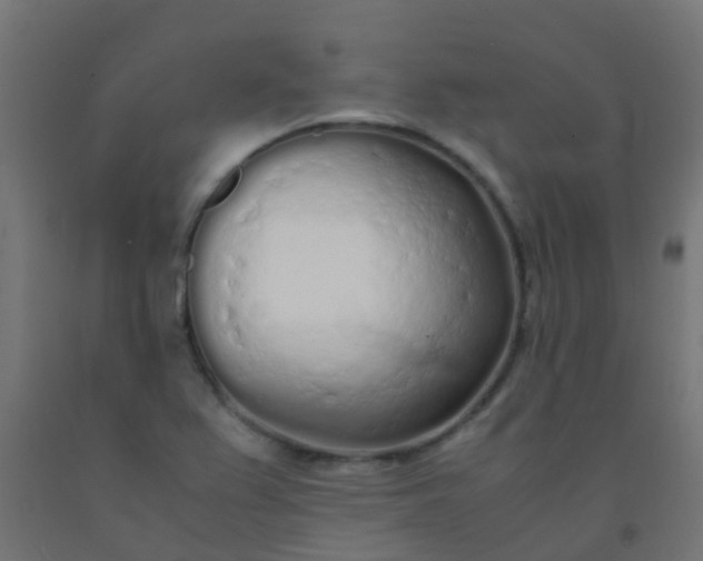 X0000092331367200709281418