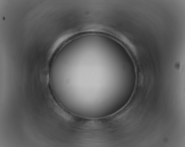 X0000092331368200709281418