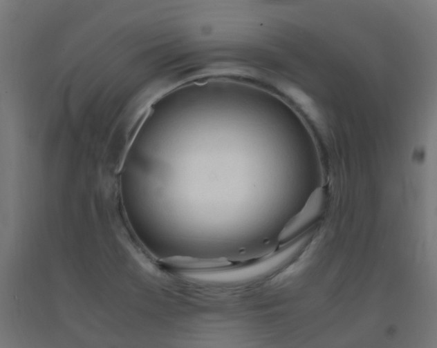 X0000092331369200709281418