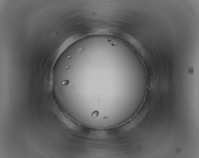 X0000092331370200709281418