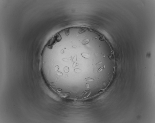 X0000092331371200709281418