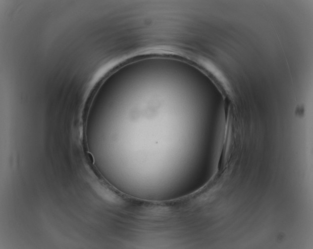 X0000092331372200709281418