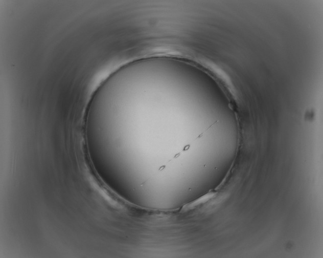 X0000092331373200709281418