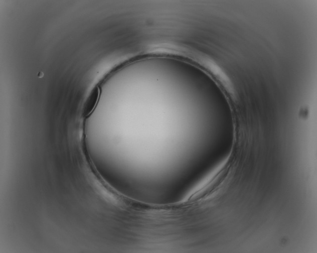 X0000092331376200709281418