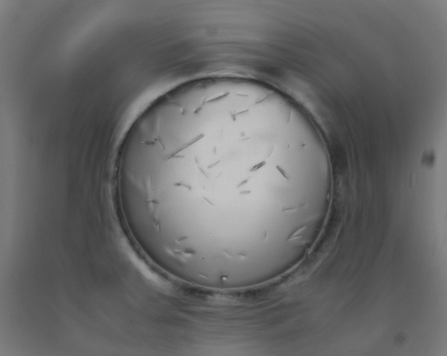 X0000092331379200709281418