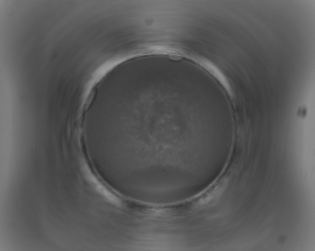 X0000092331381200709281417