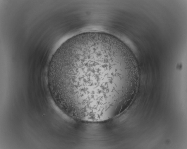 X0000092331382200709281417