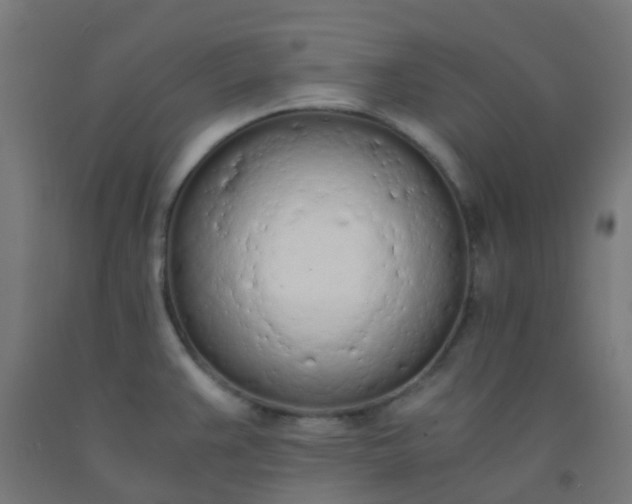 X0000092331383200709281417