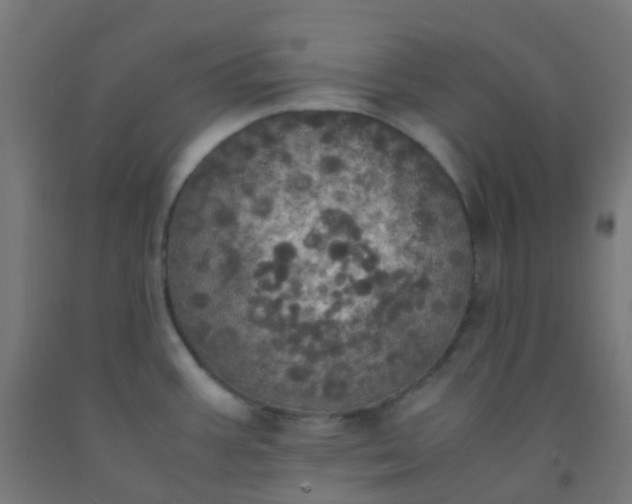 X0000092331387200709281417