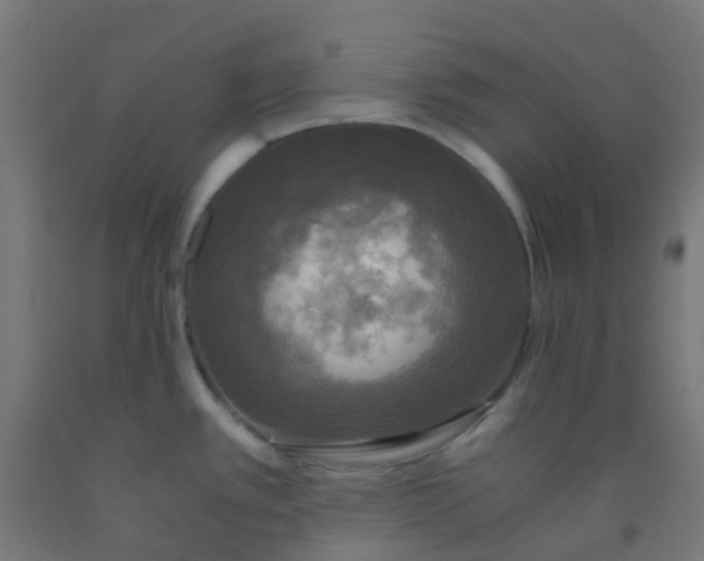 X0000092331389200709281417