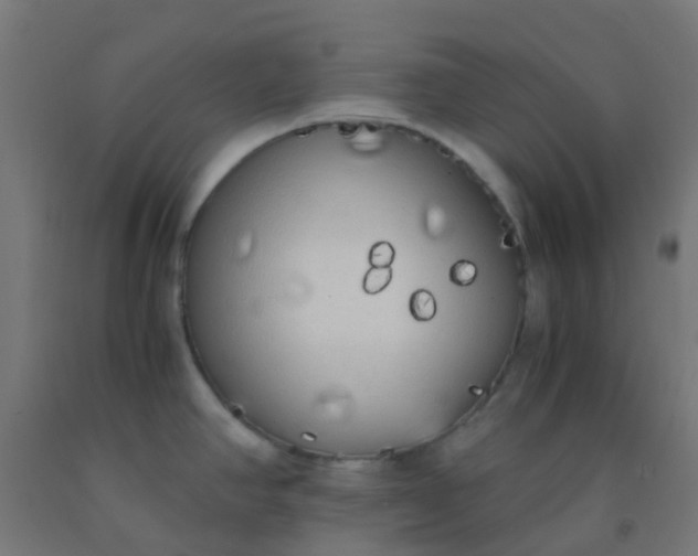 X0000092331390200709281417