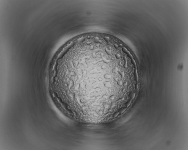 X0000092331391200709281417