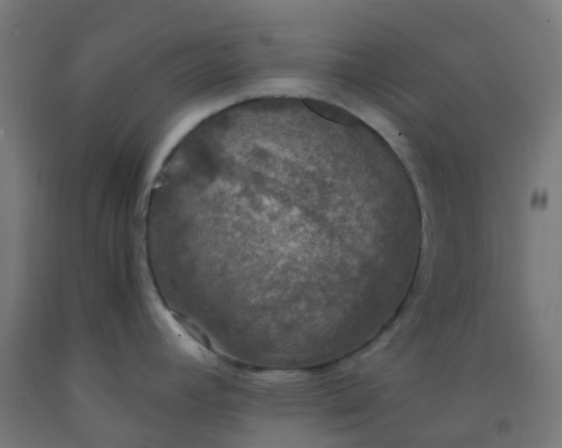 X0000092331392200709281417