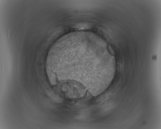 X0000092331393200709281417