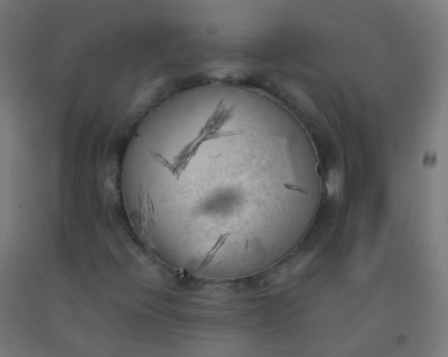 X0000092331396200709281417