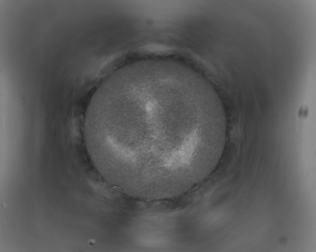 X0000092331397200709281417