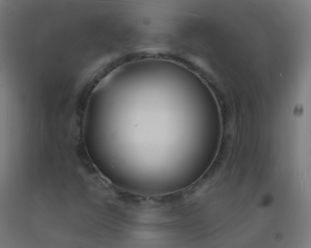 X0000092331398200709281417