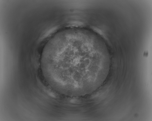 X0000092331399200709281417